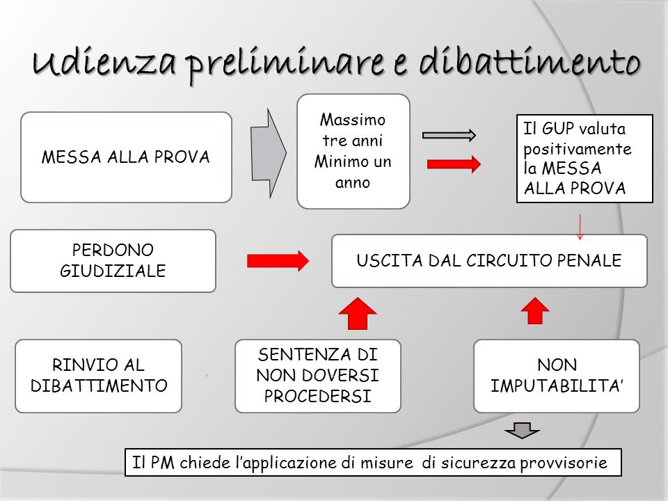 Fasi Del Processo Penale Schema Clauwarte